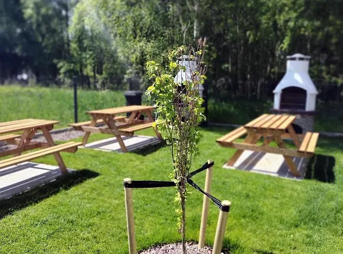 Zacisze Olo Lägenhet